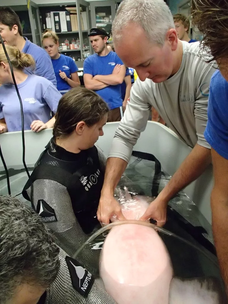 Dr. Biascoechea and the Shark