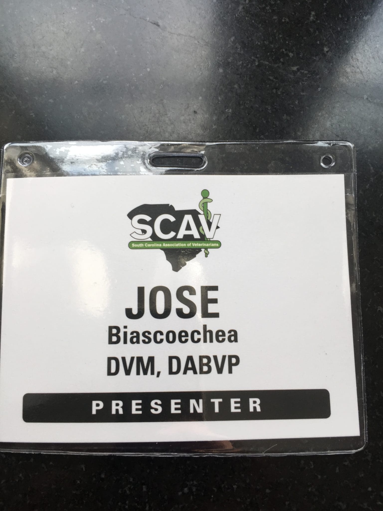 Dr. Biascoechea Presents at SEVC 2018