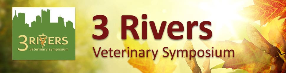 Dr. Biascoechea Presents in Pennsylvania