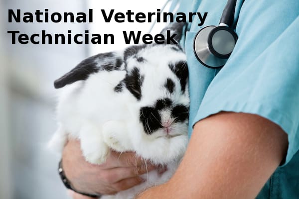 Exotic Vet Care Appreciates Our Vet Techs!