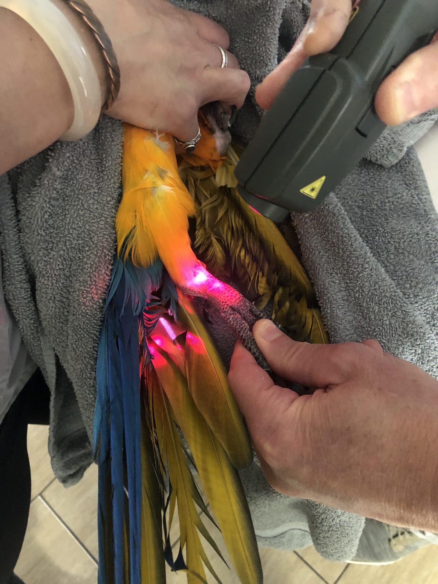 Shining a Light on Laser Therapy