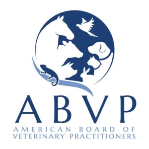 MEMBER: ABVP