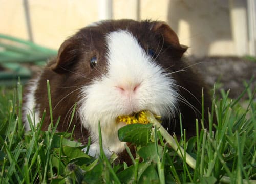 Spring has Sprung!