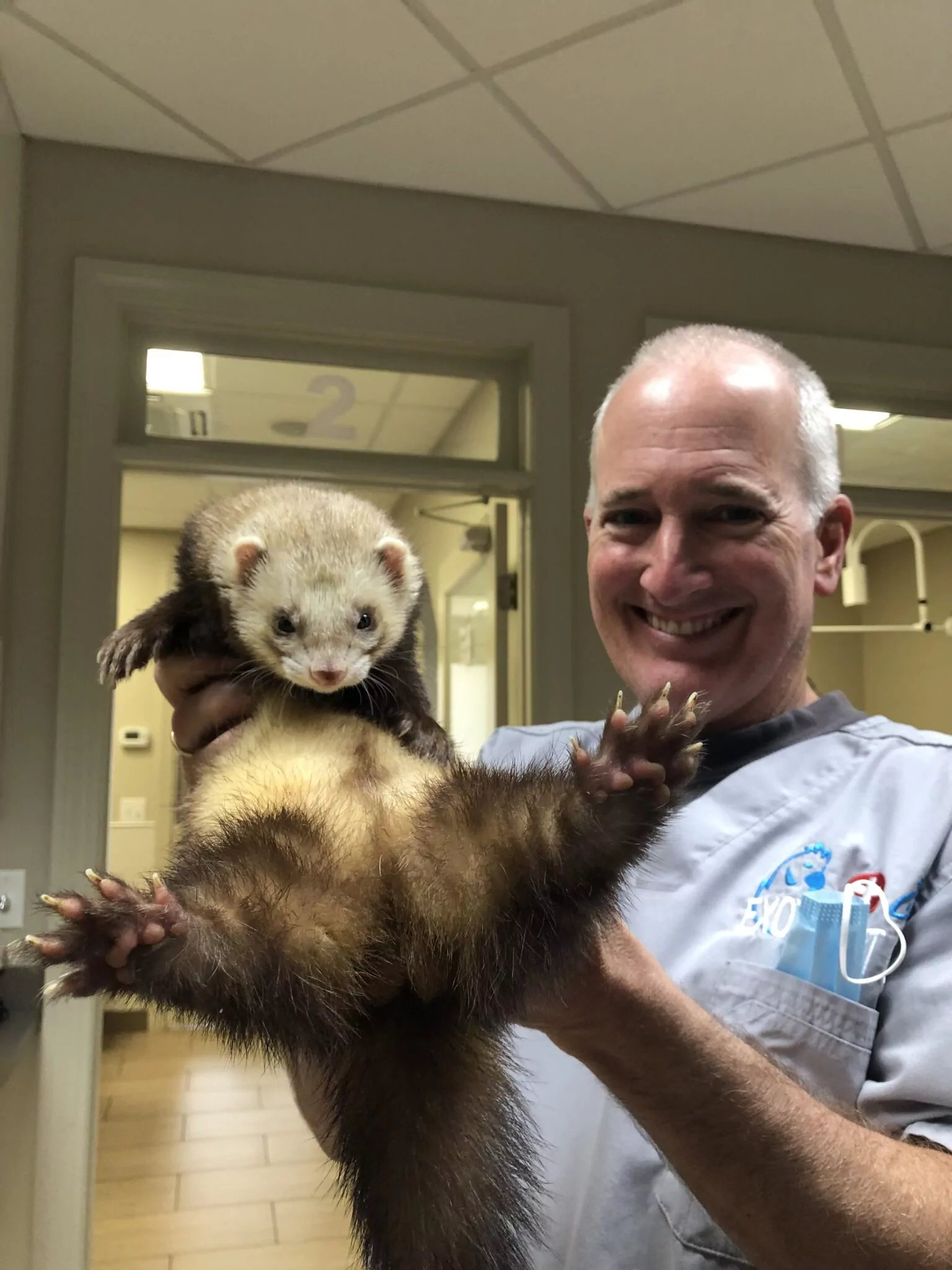 A Ferret with Something Extra