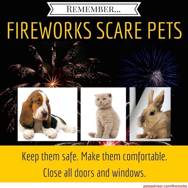 The Sound and the Fury: Independence Day Safety