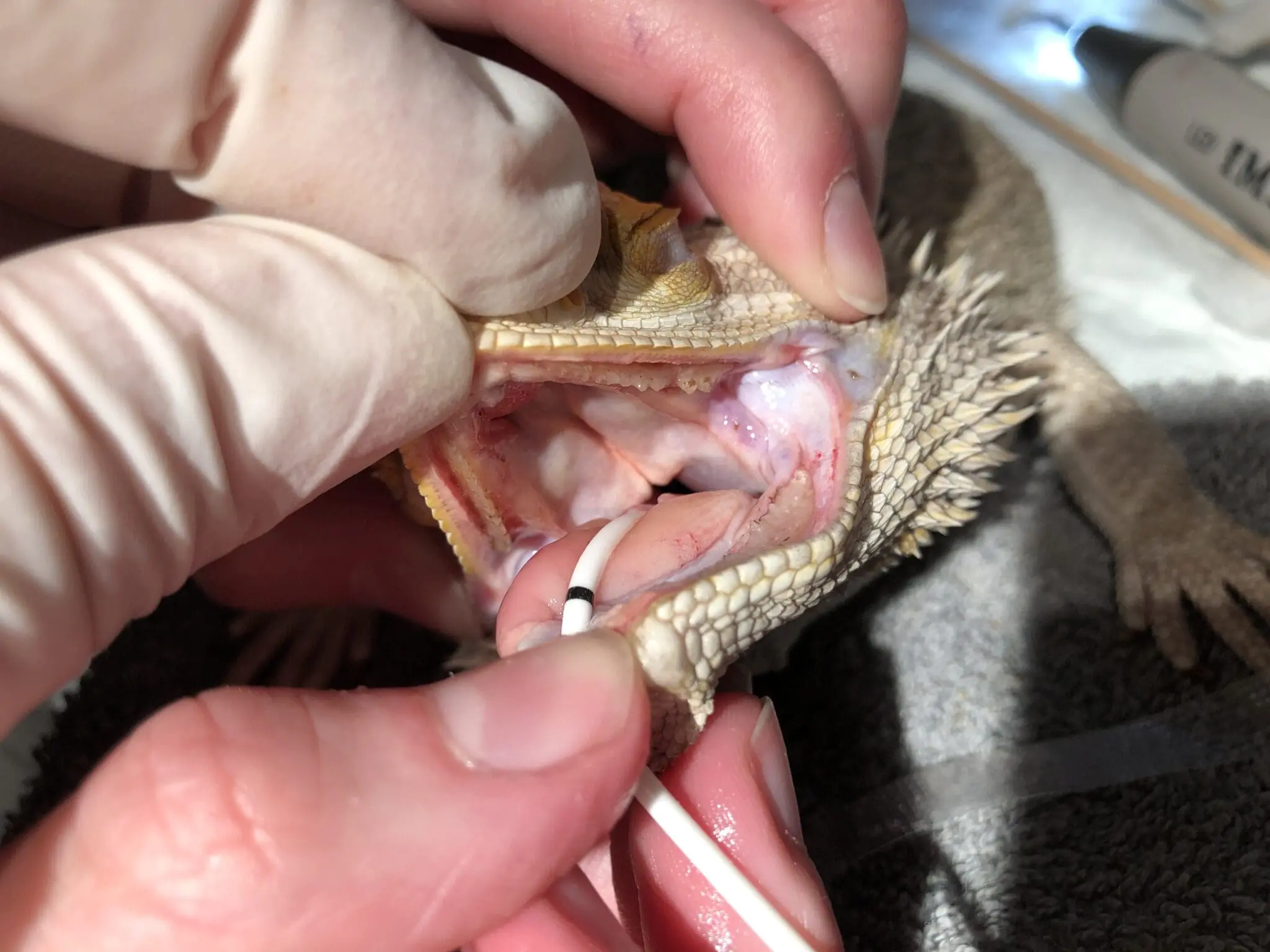 Case Study: A Toofer Twofer