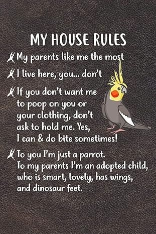 What to Expect: Bringing a New Bird into the Family